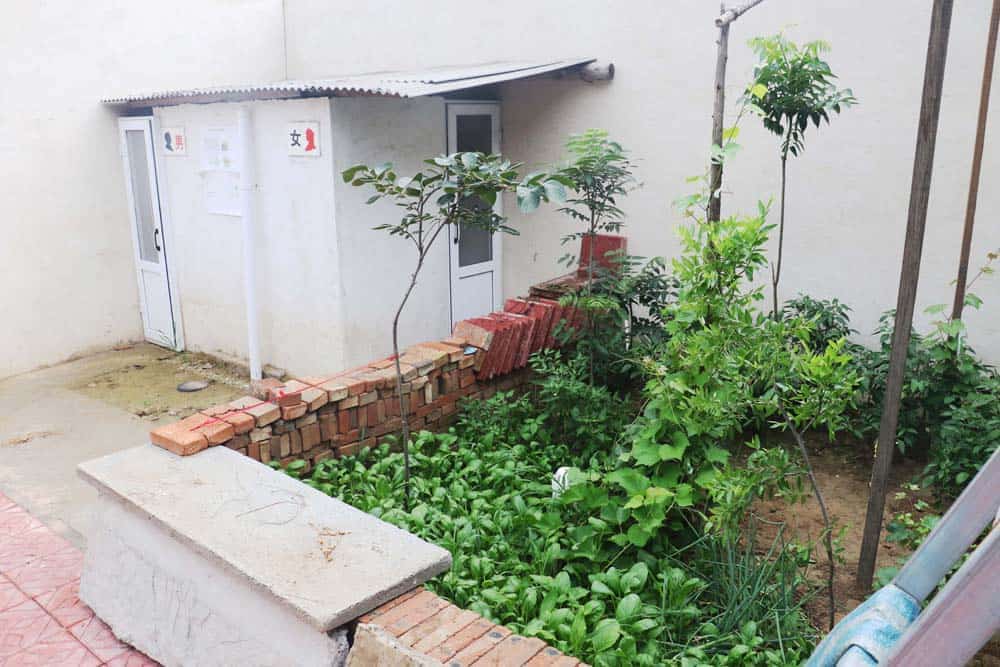 阳谷县农户改厕项目