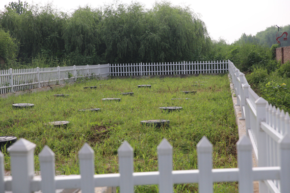 聊城市候营田庄社区污水处理工程