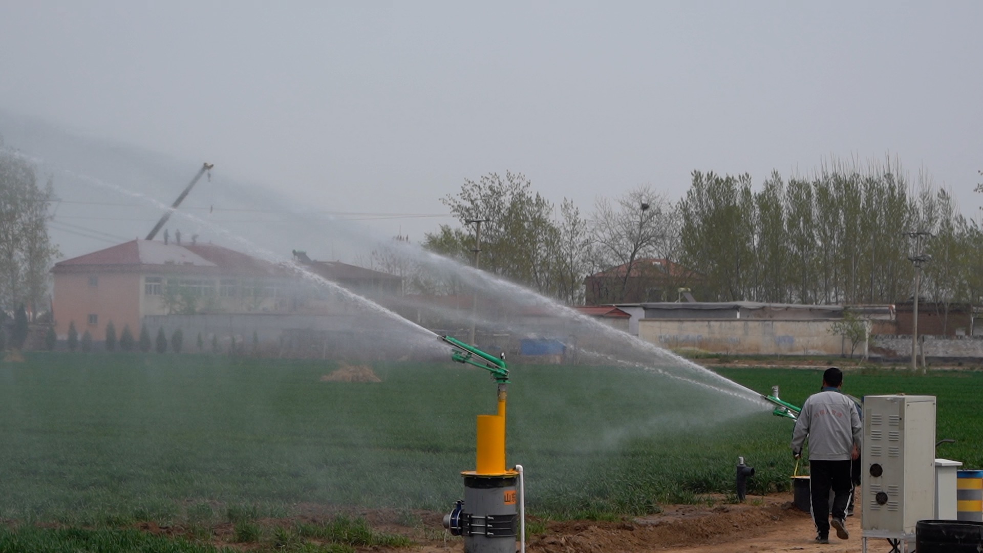 阳谷县王申楼村500亩灌排一体化管网试验区